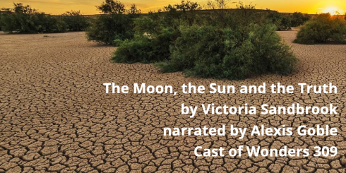 Cast of Wonders Promo Image for "The Moon, the Sun, and the Truth" by Victoria Sandbrook, narratedby Alexis Goble, Cast of Wonders 309. Image shows desert plants at sunset.
